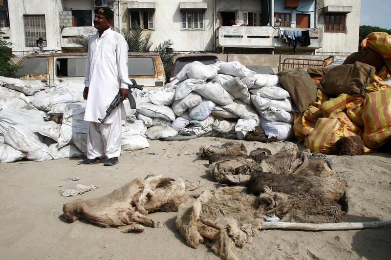 A Pakistan security official stands beside confiscated sacks of donkey skins, in Karachi, Pakistan, on April 27, 2017. Shahzaib Akber / EPA