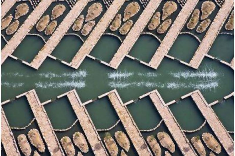 Aerial view of bioremediation facility, showing head pool aeration and biocells. Courtesy Arriyadh Development Authority