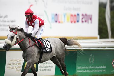 Abu Dhabi, UAE, February 2nd, 2013:

The 10th meeting at the Abu Dhabi Equestrian Club took place today. In race 1 RB Smokin Rich, ridden by Tadgh O'Shea (pictured here in red with white polkadots) won easily. 

Lee Hoagland/The National