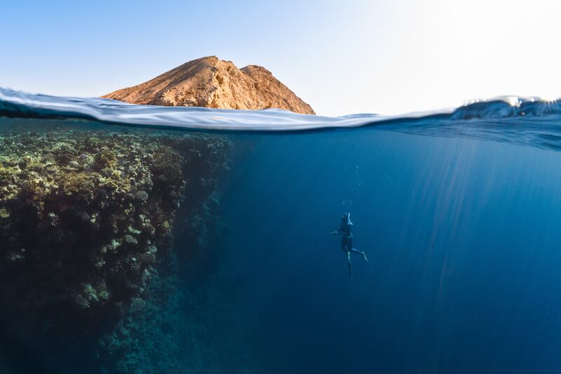 The waters of Neom will be open to scuba divers and snorkellers