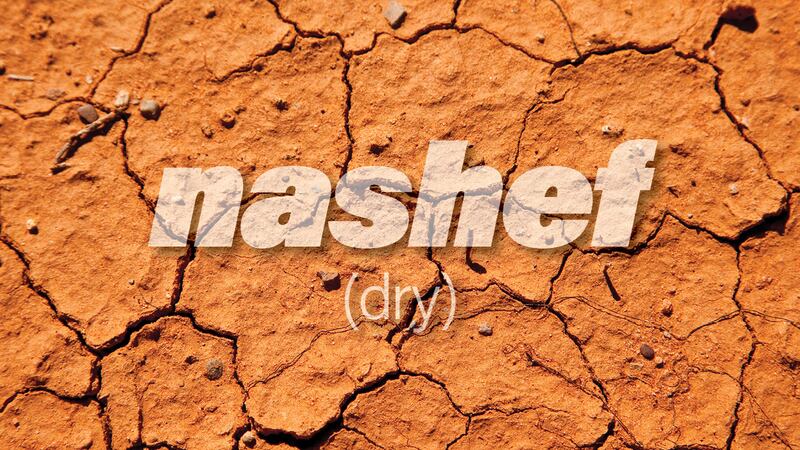 Nashef is the Arabic word for dry, but has many connotations, depending on the context in which you use it 