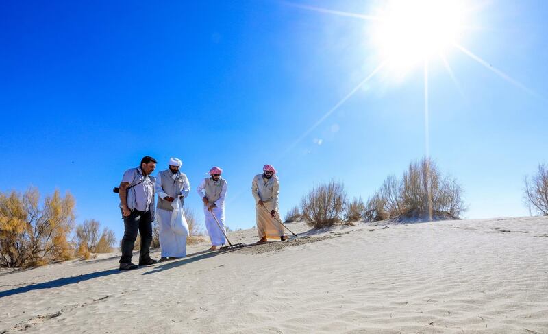 The seeds of native plants are sown in Abu Dhabi under an intiative to green the emirate. Courtesy Environment Agency Abu Dhabi