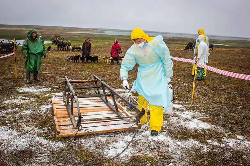 A sanitary worker disinfects  a sleigh outside Yar-Sale town on Russia’s Yamal Peninsula on August 8, 2016 following a recent anthrax outbreak. Russian Emergency Ministry / AFP 