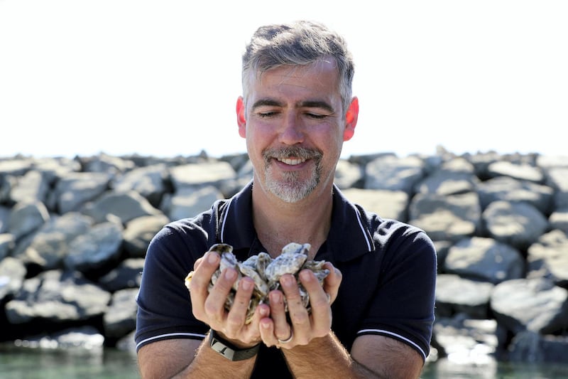 Fujairah, United Arab Emirates - Reporter: Kelly Clark. News. Ramie Murray. Founder of Dibba Bay Oysters. Visit to the Dibba Bay Oysters farm in Fujairah. Dibba, Fujairah. Wednesday, January 13th, 2021. Chris Whiteoak / The National