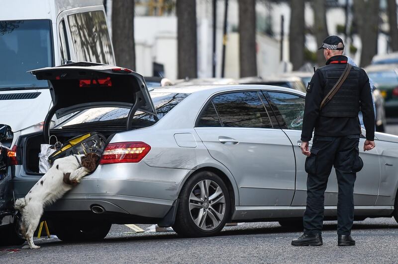 LONDON, ENGLAND - APRIL 13: A police sniffer dog at the scene outside the Ukrainian Embassy where Police opened fire on a vehicle (shown in silver) after it crashed into the Ukrainian Ambassador's car on April 13, 2019 in London, England. Police officers opened fire on the occupant of a car after he drove at them outside the embassy. Officers used firearms and a taser before arresting a man in his 40s.(Photo by Peter Summers/Getty Images)