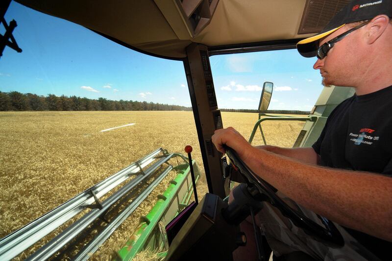 Andrew Kerr, a contract wheat harvester, harvests a crop of wheat in Anakie, outside of Geelong, Victoria, in Australia, on Tuesday, Jan. 6, 2009. Australia is the world's sixth-largest exporter of wheat. Photographer: Carla Gottgens/Bloomberg News