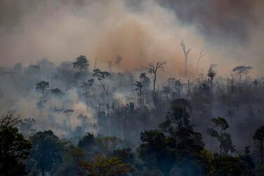 Smoke rises from forest fires in Altamira, Para state, Brazil. AFP