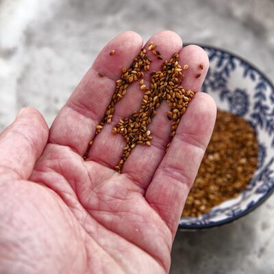 Human hand with roasted sesame seeds. Out of focus decorative bowl on a pewter plate with sesame seeds. High point of view.