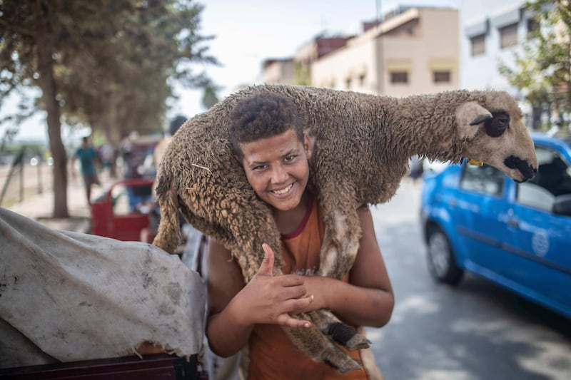 A boy smiles after buying a sheep for Eid Al Adha in a market on the outskirts of Rabat, Morocco. AP Photo