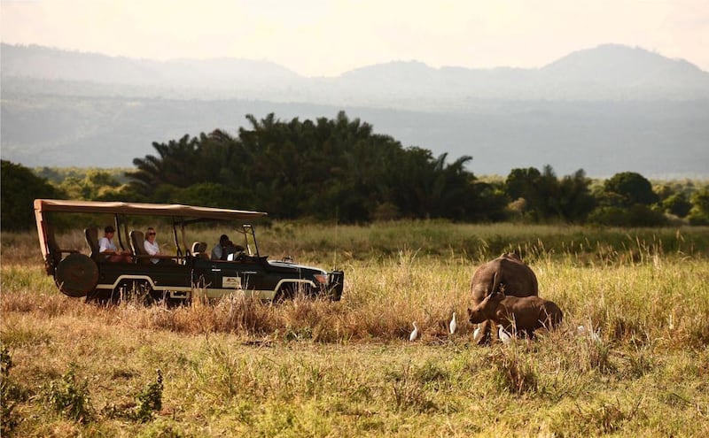 Elsa’s Game Drive with Rhinos in Kenya.