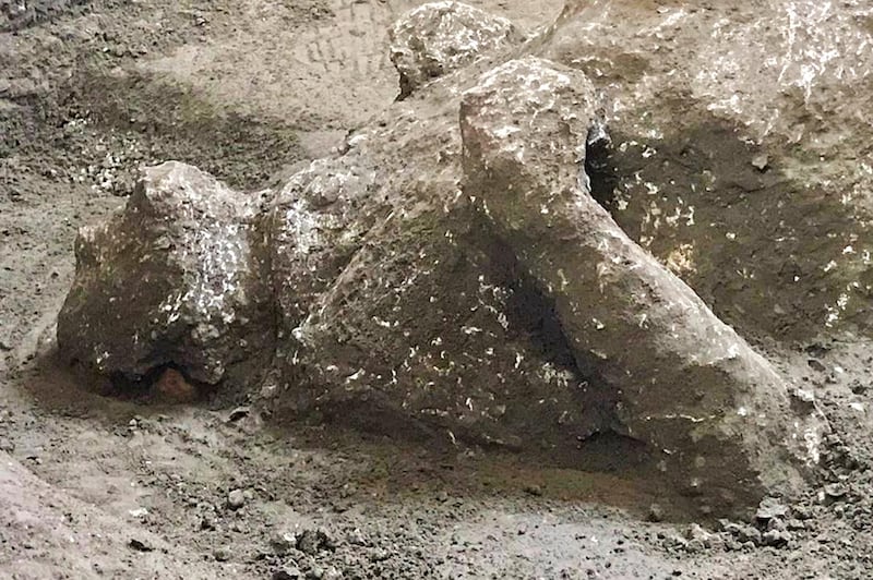 The casts of one of two bodies that are believed to have been a rich man and his male slave fleeing the volcanic eruption of Vesuvius nearly 2,000 years ago. AP