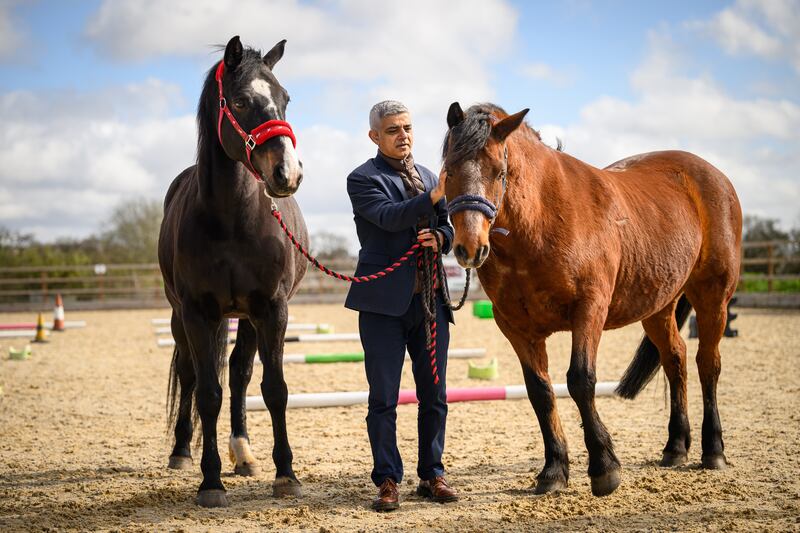 Mr Khan visits the Strength and Learning through Horses equine therapy centre at Green Gates stables in Barnet, north London. Getty Images
