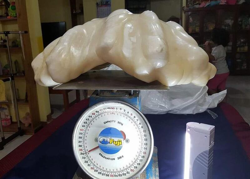 The pearl has been put on display at the city hall of Puerto Princesa and is awaiting to be certified as the biggest in the world. EPA