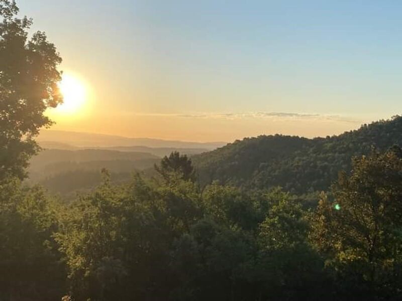A view from Chateau Miraval. Photo: Facebook