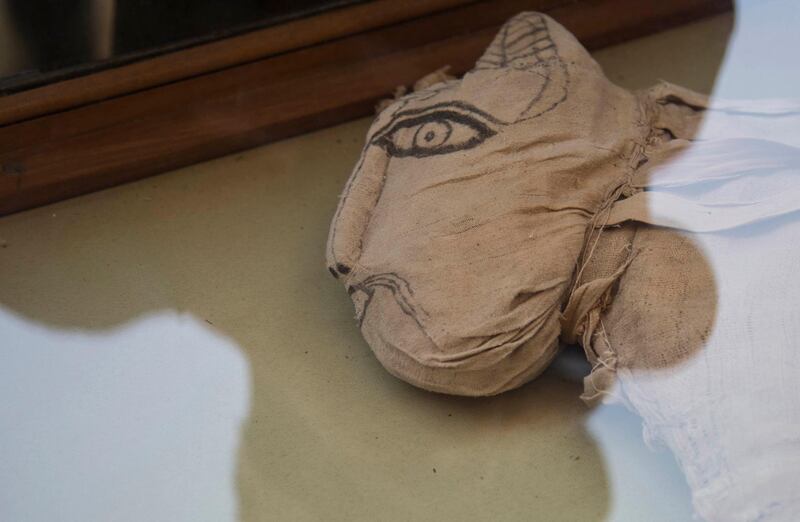 The recovery of a mummified lion is rare. EPA