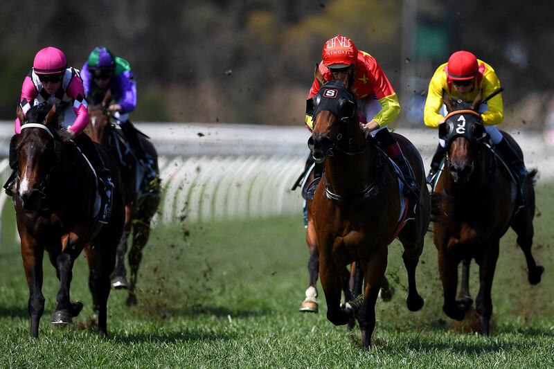 epa06214792 Jokey Hugh Bowma (2-R) rides Star Of Africa to win Race one, the All Too Hard @Vinery Mdn Plate, at the Warwick Farm Racecourse in Sydney, New South Wales, Australia, 20 September 2017.  EPA/DAN HIMBRECHTS AUSTRALIA AND NEW ZEALAND OUT