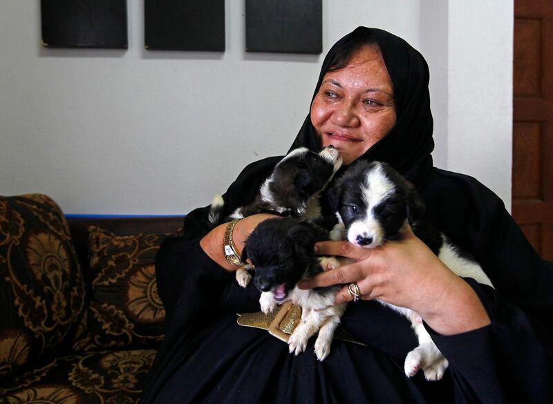 Umm Al Quwain, United Arab Emirates - October 12, 2014.  Amirah William ( 47 years old, a Maori of New Zealand ) is hopeful with her 160 rescued dogs will get help from higher authorities.  ( Jeffrey E Biteng / The National )  Editor's Note; Rezan O reports.