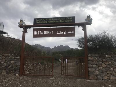 Hatta Honeybee Garden offers beeswax candlemaking and beehive frame-building sessions