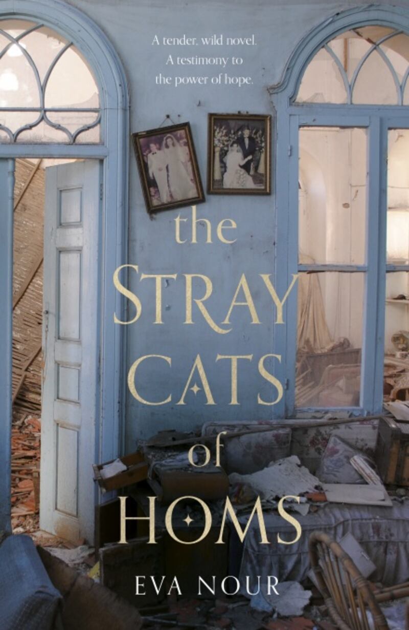 'The Stray Cats of Homs' by Eva Nour