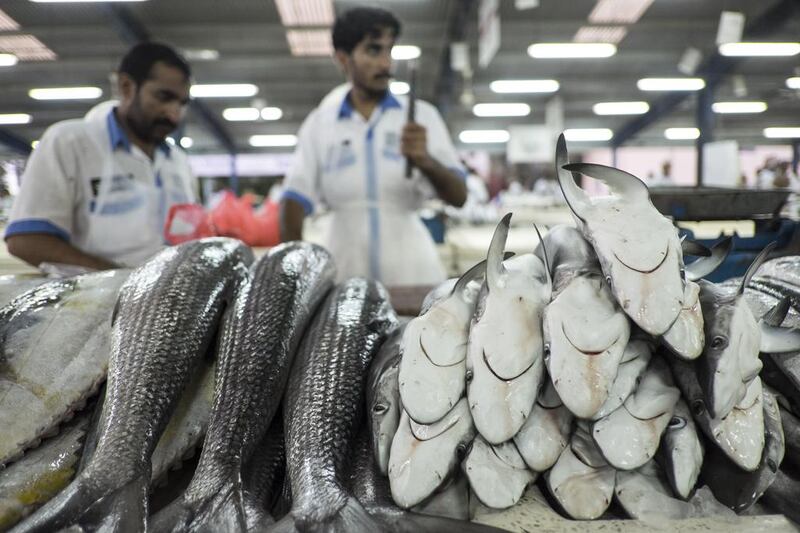 Small sharks were offered for sale at Dh20 a kilogram in the Deira fish market this month. A new UAE law that took effect last month bans the local fishing of protected sharks. Antonie Robertson / The National