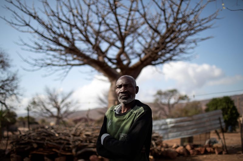 Baobab fruits harvester Aaron Muchengeni (58) poses in front of a baobab tree in Muswodi Dipeni AFP