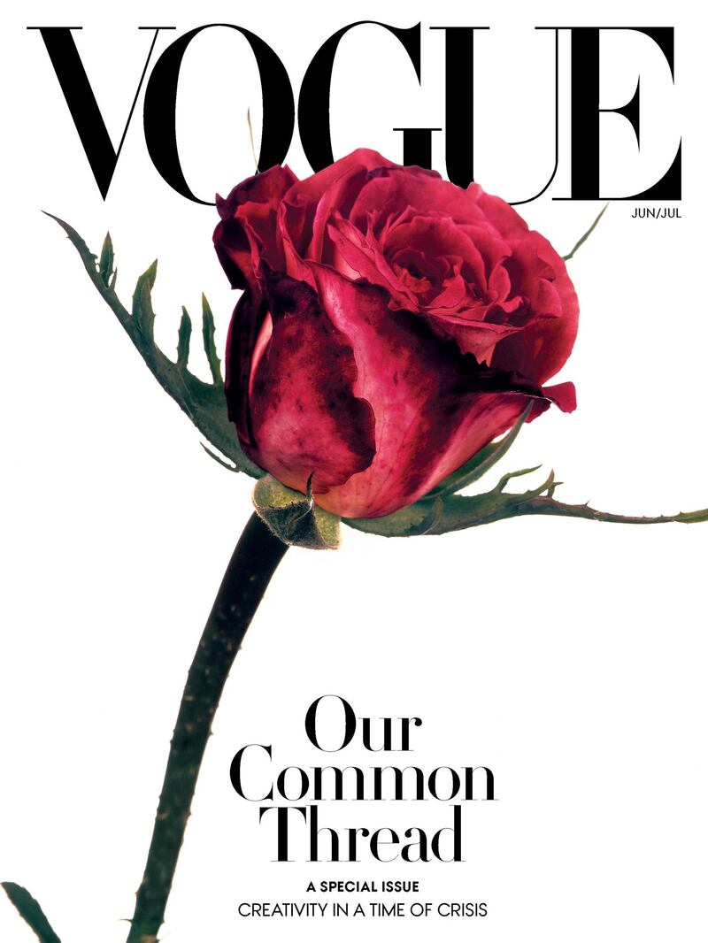 'American Vogue' used a rose photographed by Irving Penn in 1970 for its June/July 2020 cover. Vogue / Instagram
