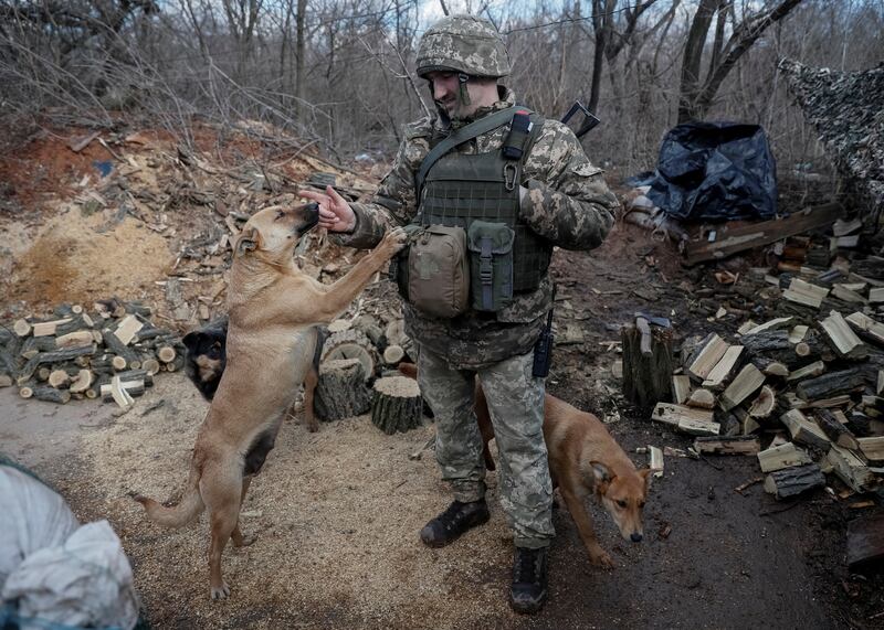A Ukrainian soldier takes time out to play with dogs on the front line near the city of Novoluhanske, in Donetsk. Reuters