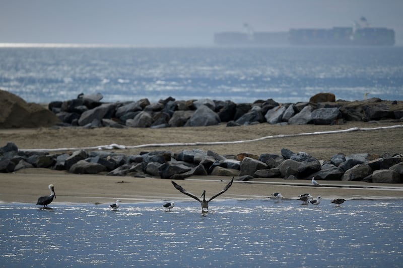 UK, Swiss and Dutch governments have joined forces with Water Witness  to tackle water pollution. AFP