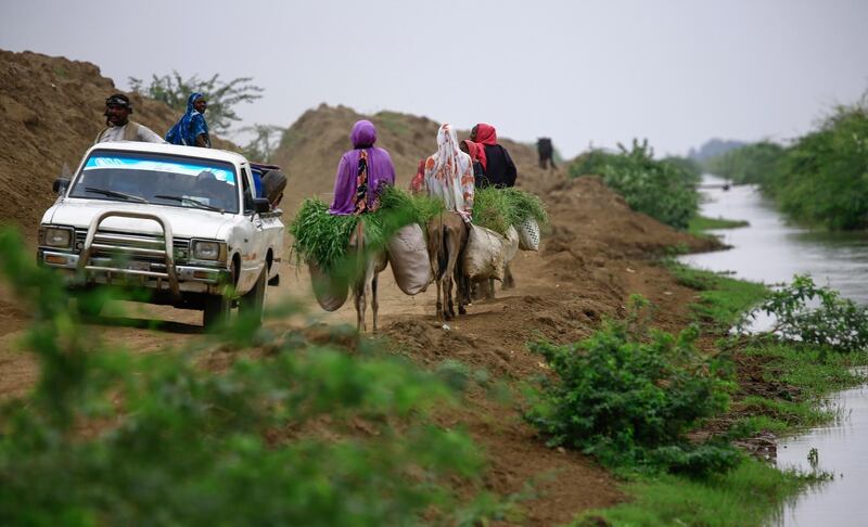 Sudanese farmers advance on donkeys and cars on a dirt road near a stream in Ardashiva village in Sudan's east-central al-Jazirah state, 70 km south of the capital, on August 8, 2020. (Photo by ASHRAF SHAZLY / AFP)