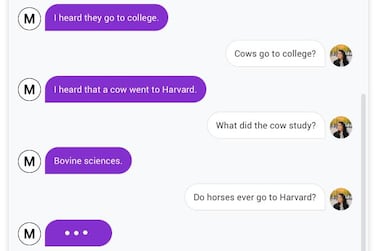 Google's new chatbot Meena is smart enough to tell jokes. Courtesy Google