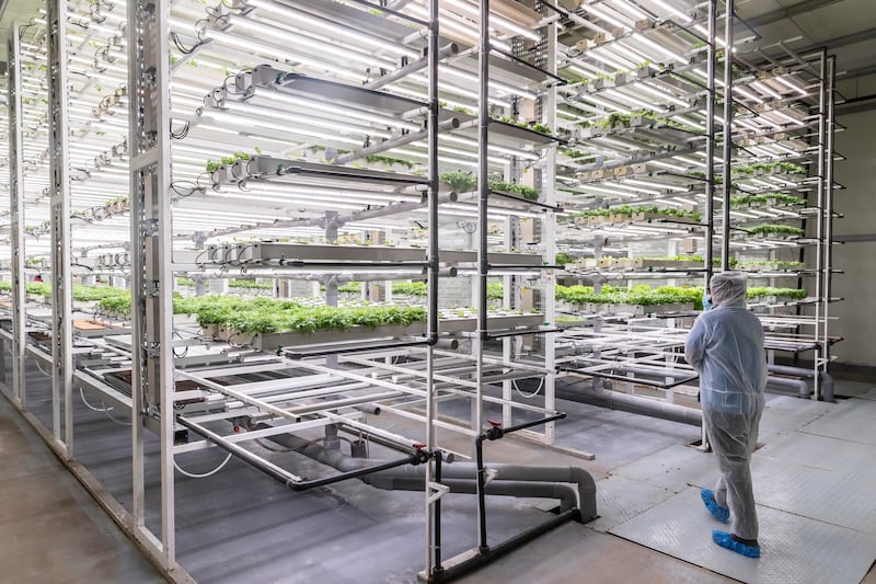 The vertical farm uses the latest technology to grow produce.

