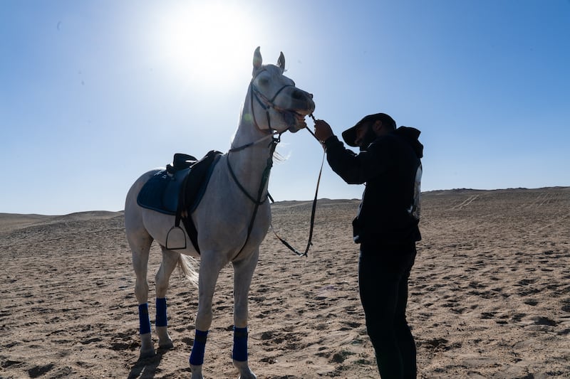 Omar gives Shaheen a break after a long ride through the desert. Photo: Mahmoud Nasr