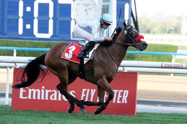 Fernando Jara guided Wildman Jack to victory at the Nad Al Sheba Turf Sprint, during the Super Saturday meeting at the Meydan Racecourse in March. Pawan Singh / The National