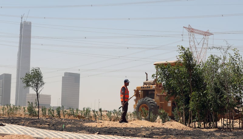 This development drive has led to the construction of a dozen new cities, thousands of kilometres of new roads, mega housing projects and initiatives to turn desert into farmland.