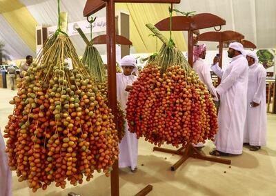 Abu Dhabi, U.A.E., July 18, 2018.  First day of the 2018 Liwa Date Festival. --  The heaviest date fruit clumps of the festival.
Victor Besa / The National
Section:  NA
Reporter:  Haneen Dajani