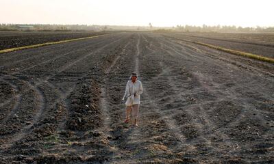 An Iraqi man stands on a dry field in an area affected by drought in the Mishkhab region, central Iraq, some twenty-five kilometres from Najaf, on July 2, 2018. Facing an unusually harsh drought, the agriculture ministry last month suspended the cultivation of rice, corn and other cereals, which need large quantities of water. The decision has slashed the income of amber rice farmers, who usually earn between 300,000 and 500,000 dinars ($240 to $400) a year per dunum (quarter-acre, 0.1 hectares) of land. / AFP / Haidar HAMDANI
