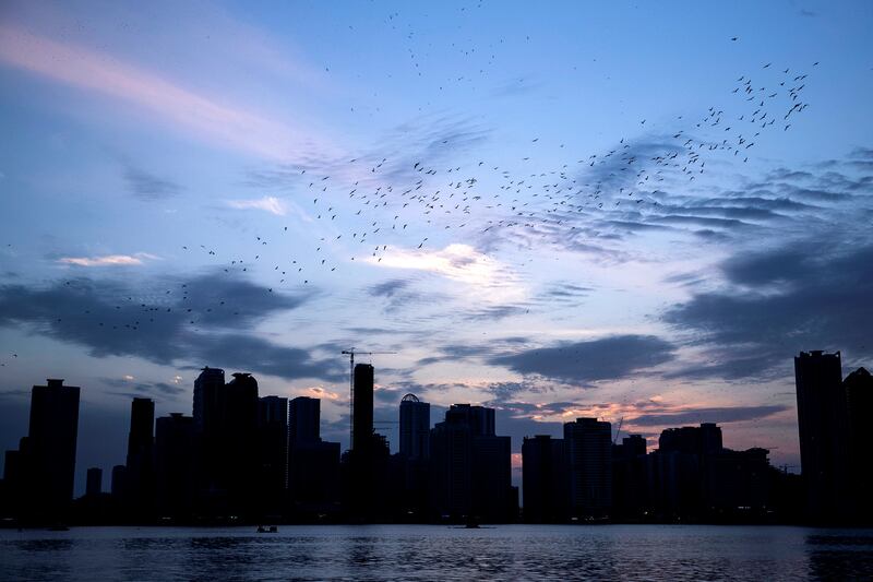 SHARJAH, UNITED ARAB EMIRATES - FEBRUARY, 16 2019.

Sunset and Sharjah's skyline on Khalid's lagoon.

(Photo by Reem Mohammed/The National)

Reporter: 
Section:  NA