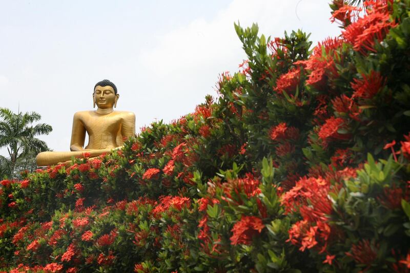 View over a sea of red flowers on a golden Buddha statue in the Viharamahadevi Park in Colombo, Sri Lanka, 24 April 2006. Photo by: Maurizio Gambarini/picture-alliance/dpa/AP Images