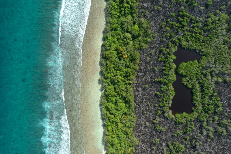 Highly Commended, Mangroves & Landscape, Mohamed Muha, Maldives. Photo: Mohamed Muha / Mangrove Photography Awards