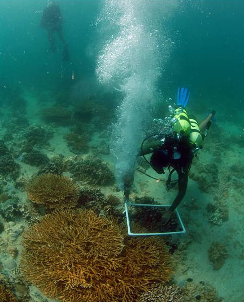 Provided photo of  John Burt using a pneumatic drill to install coral monitoring equipment on the sea-bottom at Ras Ghanada reef in Ghantoot, UAE.

Courtesy John Burt *** Local Caption ***  drill.jpg