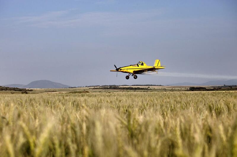 A crop duster flies over a wheat field in Kenya. Next to raw minerals, agriculture is the most promising driver of economic growth in Africa. Trevor Snapp / Bloomberg