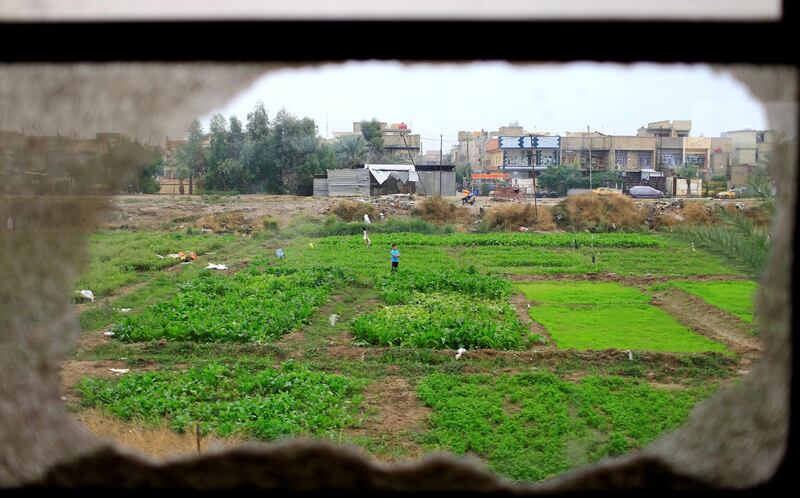 A boy standing in a field on the outskirts of Baghdad is seen through a broken window of the train to Fallujah. Reuters