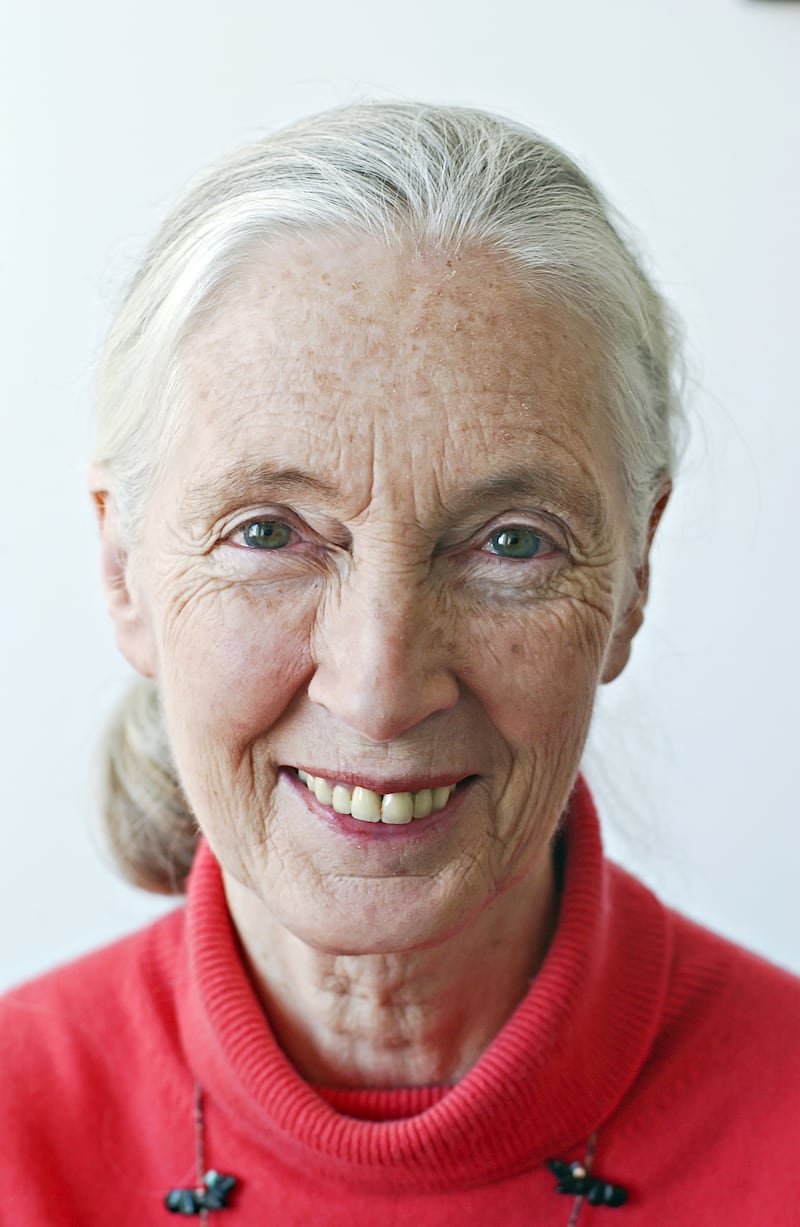 Jane Goodall at the Jane Goodall Institute in Silver Spring, Maryland, in February 2003. Getty Images
