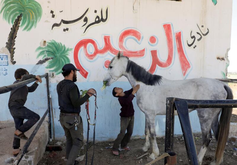 A boy pets a horse at the club in Idlib. Reuters