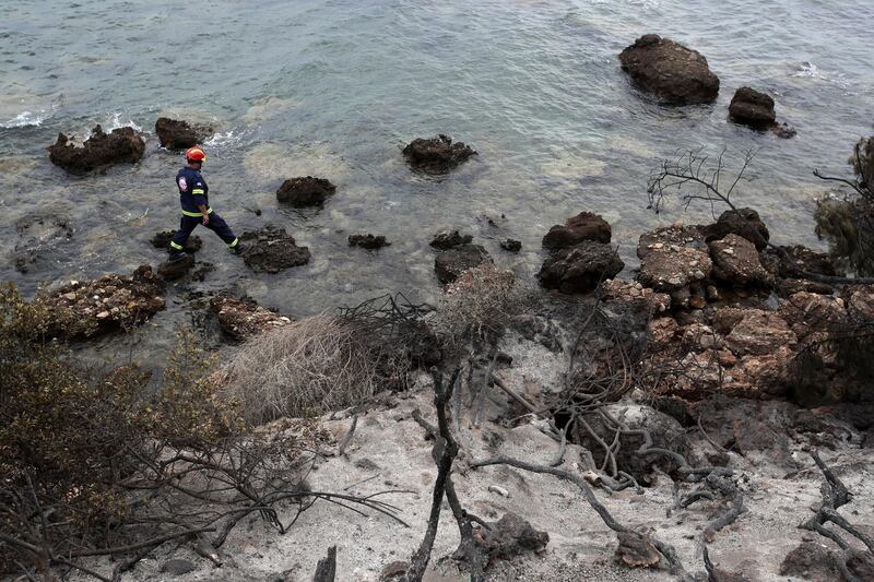 A member of a rescue team searches the area where burned trees hug the coastline in Mati. AP Photo