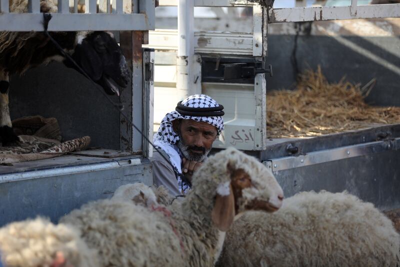 epa06167954 Palestinian vendors sell sacrificial animals at a livestock market ahead of Eid al-Adha, in the West Bank town of Nablus, 28 August 2017. Eid al-Adha is the holiest of the two Muslims holidays celebrated each year, it marks the yearly Muslim pilgrimage (Hajj) to visit Mecca, the holiest place in Islam. Muslims slaughter a sacrificial animal and split the meat into three parts, one for the family, one for friends and relatives, and one for the poor and needy.  EPA/ALAA BADARNEH