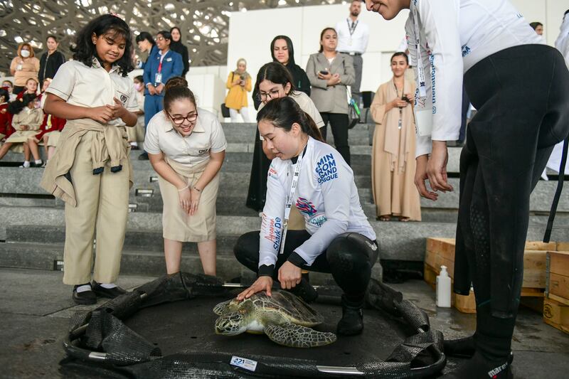 The Louvre Abu Dhabi set-up will also give a chance for museum-goers to learn more about turtle rehabilitation