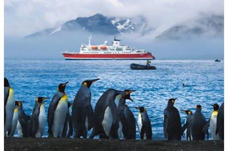 Enjoy a visit to the Antarctic Peninsula on a two-week cruise organised by Gap Adventures.