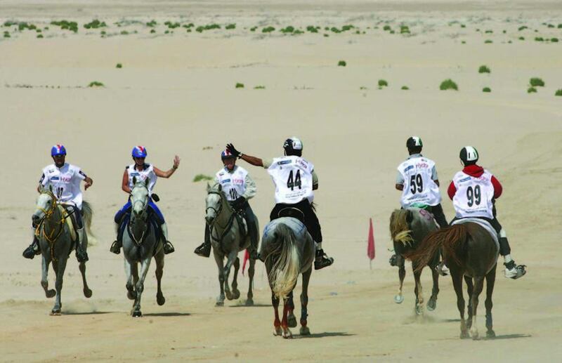 4. Endurance racing in Al Wathba Stephen Lock / The Natioanl
