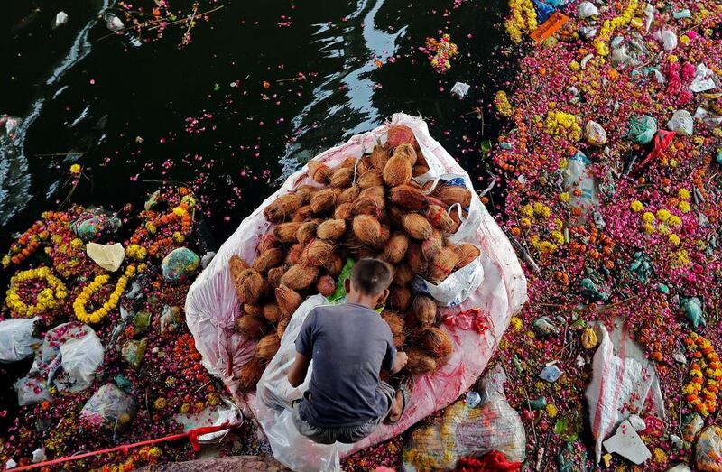 A man collects coconuts on September 16, 2016, that were thrown into the Sabarmati river as offerings by worshippers, a day after the immersion of idols of the Hindu god Ganesh, the deity of prosperity, in Ahmedabad, India. Amit Dave / Reuters
